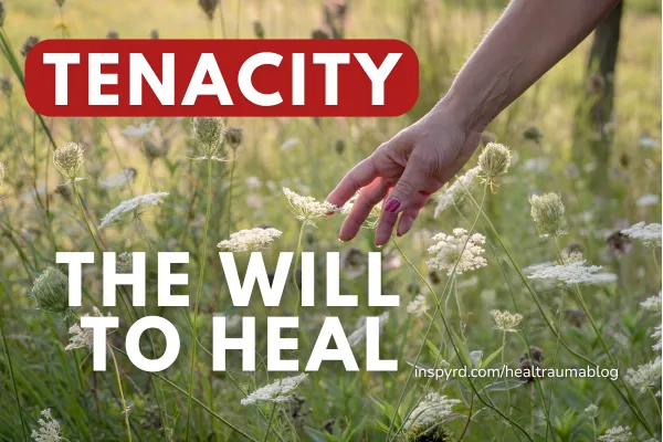 Tenacity: The Hidden Power Behind Trauma Healing