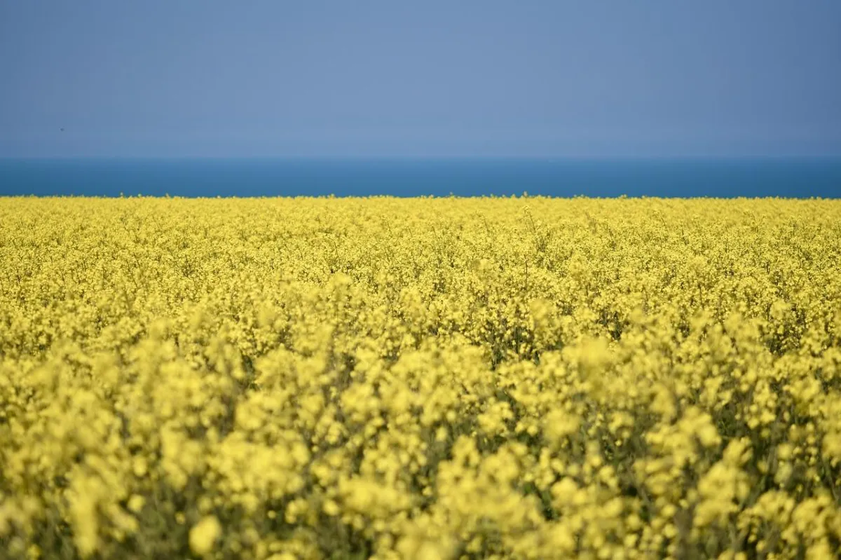 The Four Seasons of Sales: 4 Keys to Planning Your Business Year