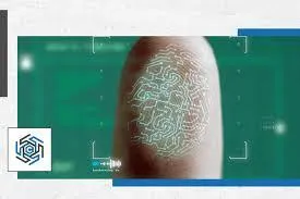 البصمة الرقمية للشركة وأهميتها