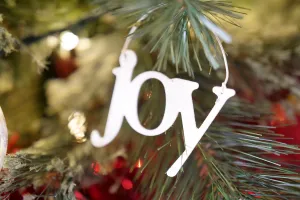 Finding Joy