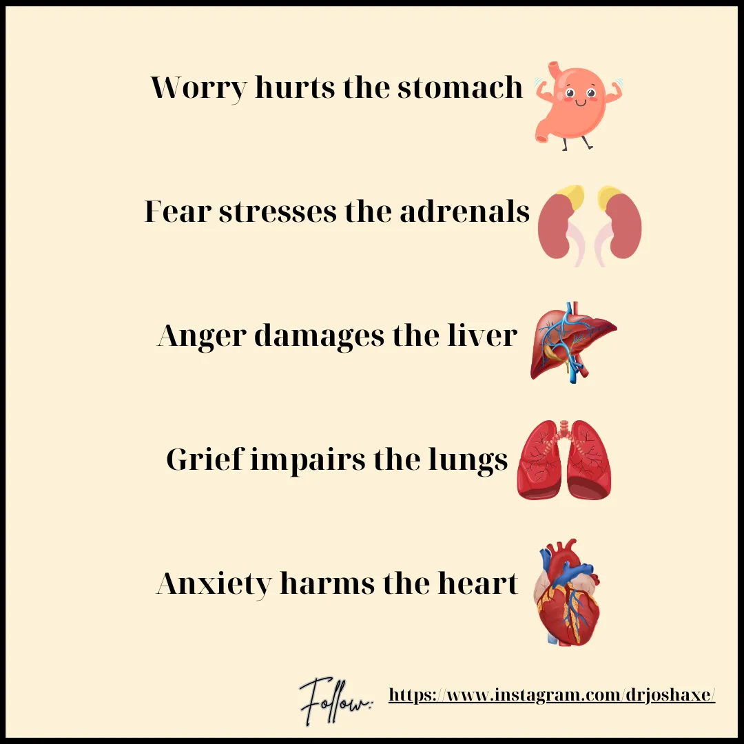 Feeling Your Feels in Your ORGANS!