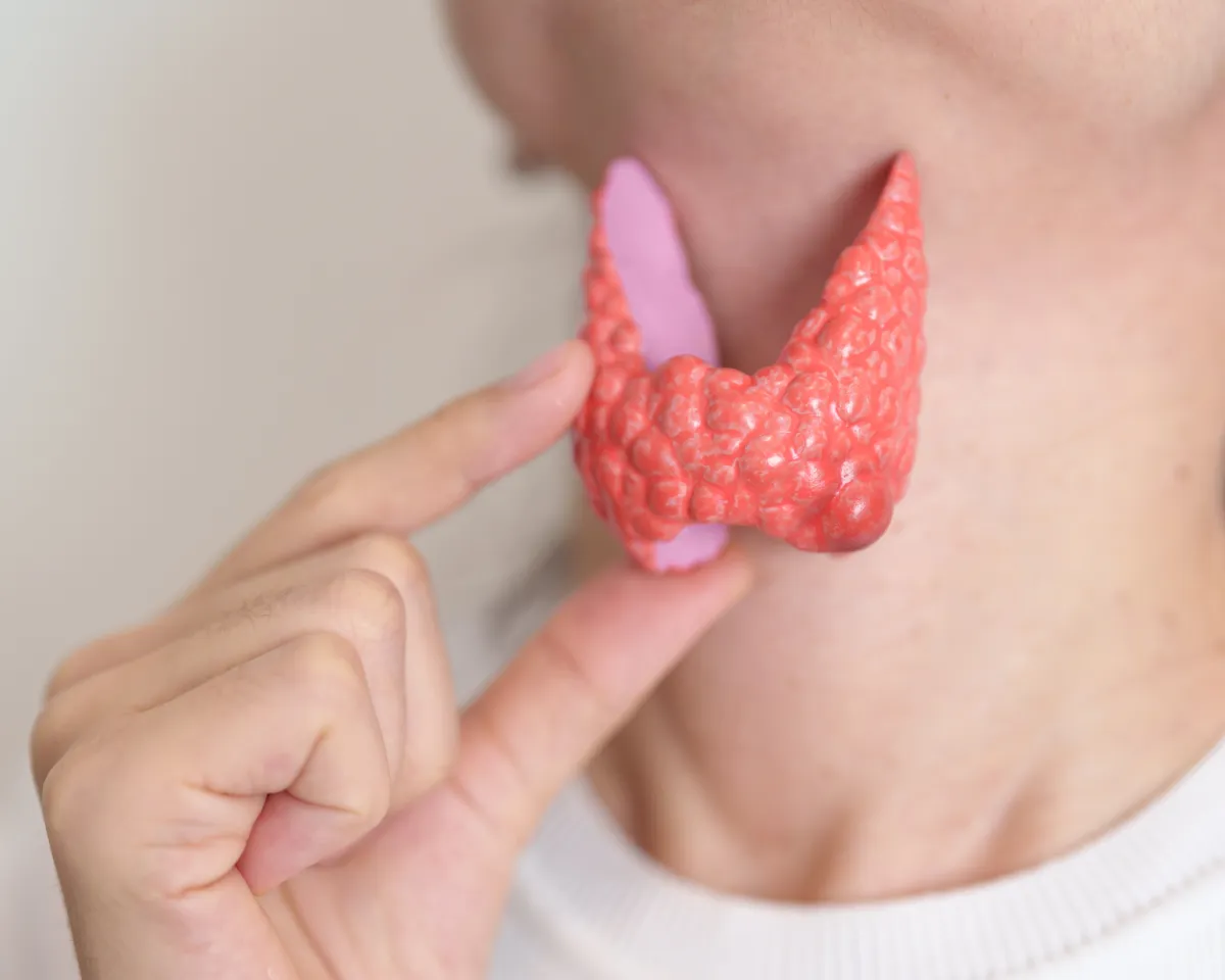 Your Factory Foreman: The THYROID