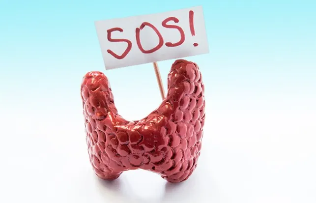 Your Thyroid After COVID