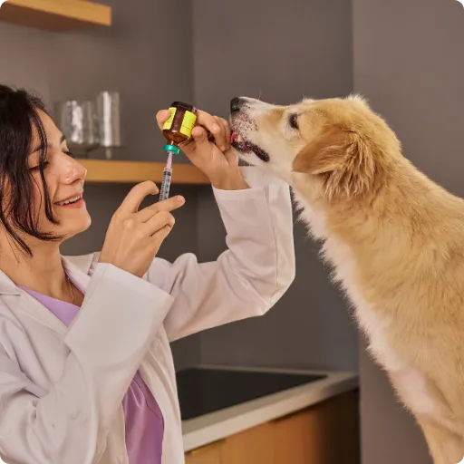 Campaña de vacunación en clínica veterinaria