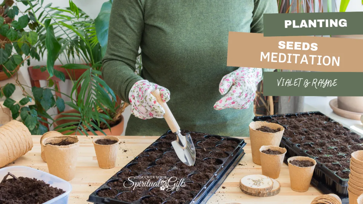 Planting Seeds