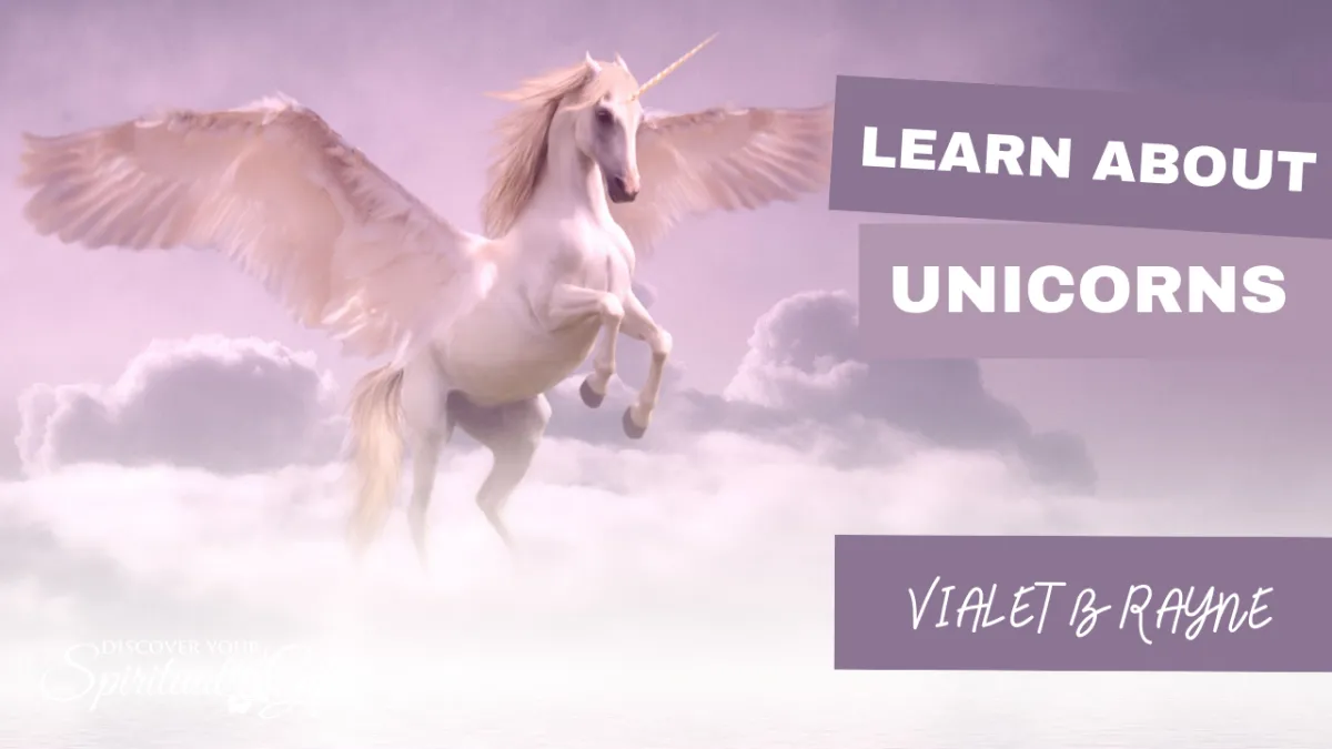 Learn About Unicorns