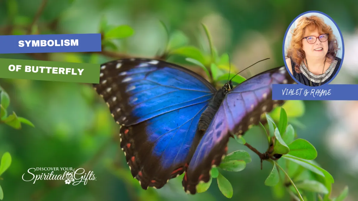 Symbolism of Butterly
