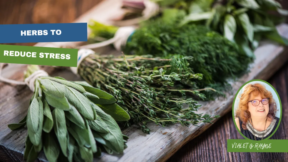 Herbs for Stress