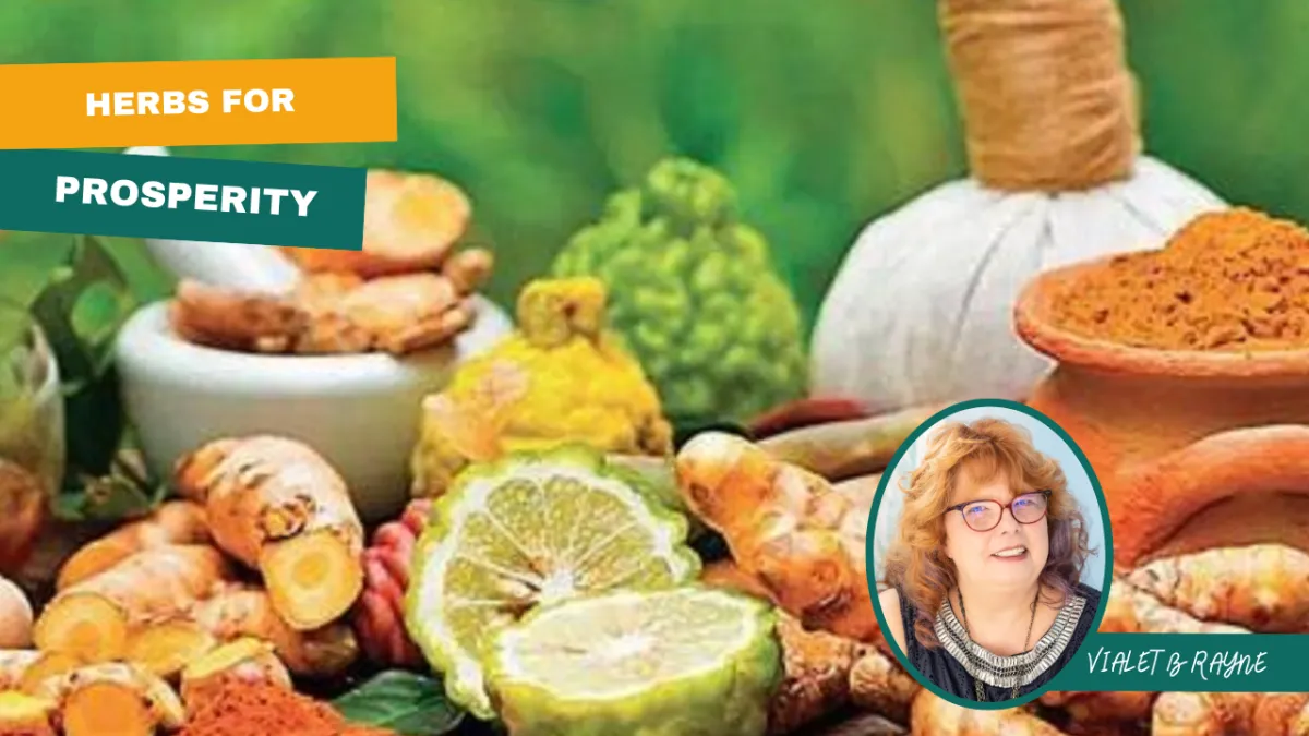 Herbs for Prosperity