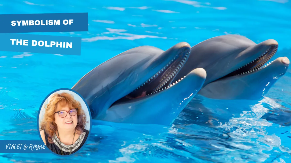 The Symbolism of the Dolphin