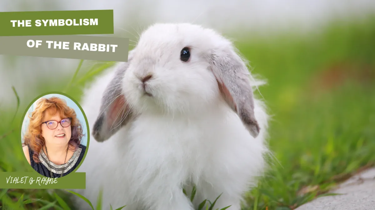 The Symbolism of the Rabbit