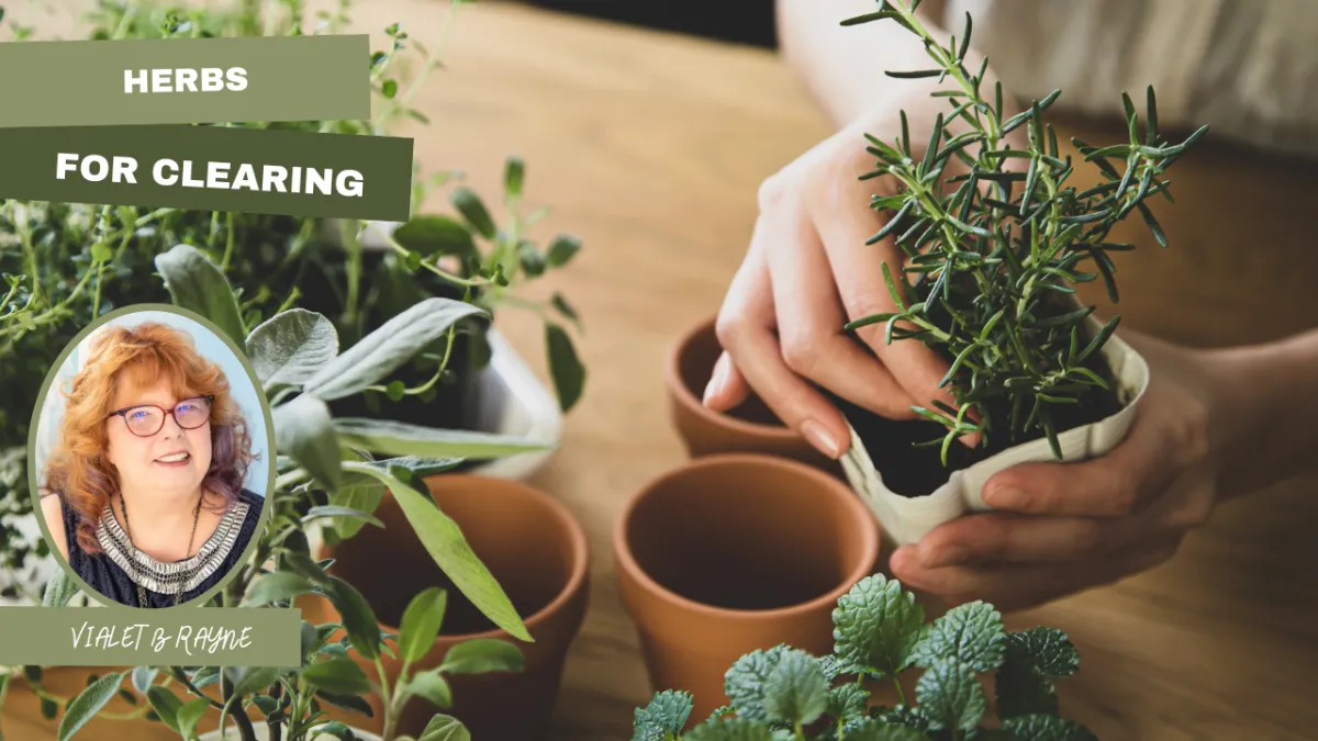 HERBS FOR CLEARING