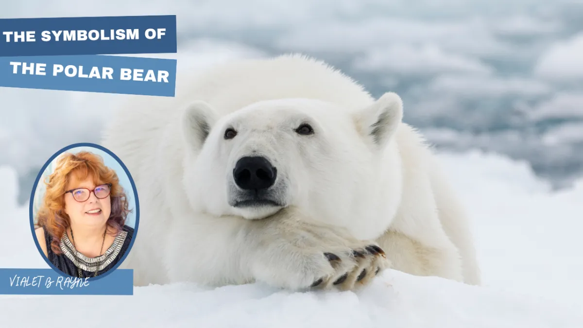 The Spirit of the Polar Bear: Courage, Solitude & the Keeper of Inner Stillness