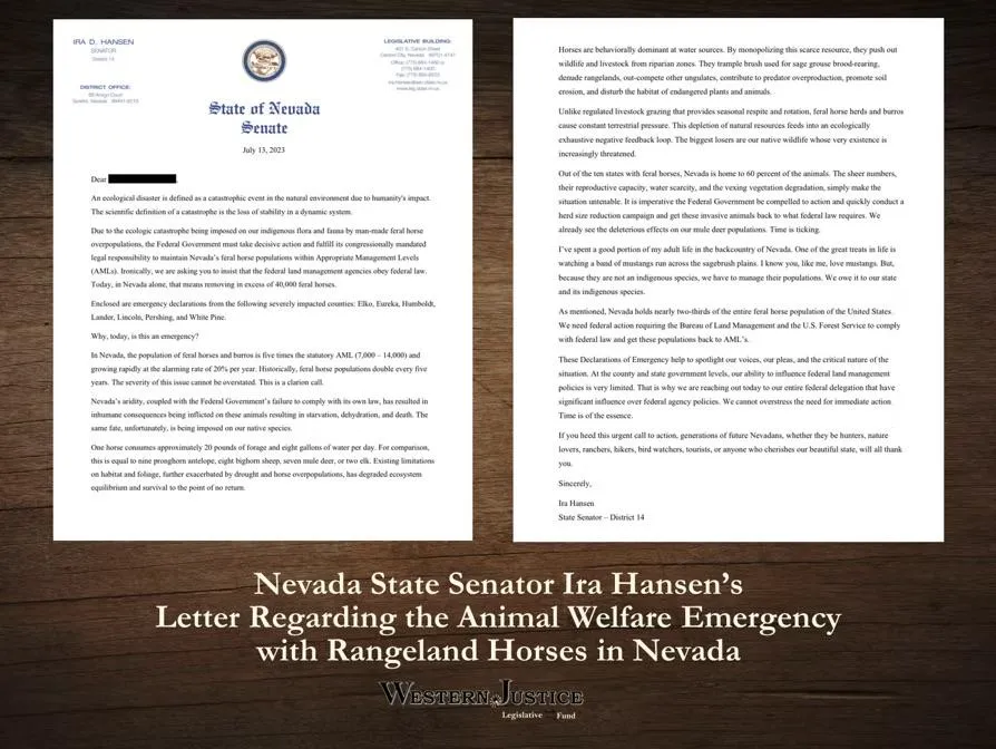 State Senator Weighs In About the Feral Horse Emergency in Nevada