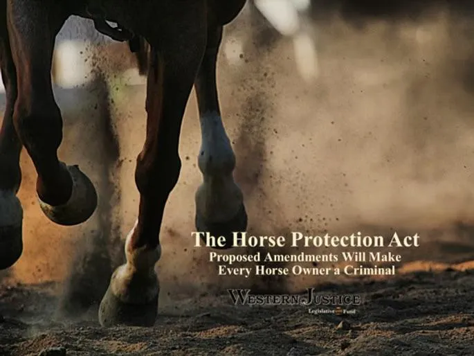 Proposed Amendments to the Horse Protection Act Can Make Every Horse Owner a Criminal