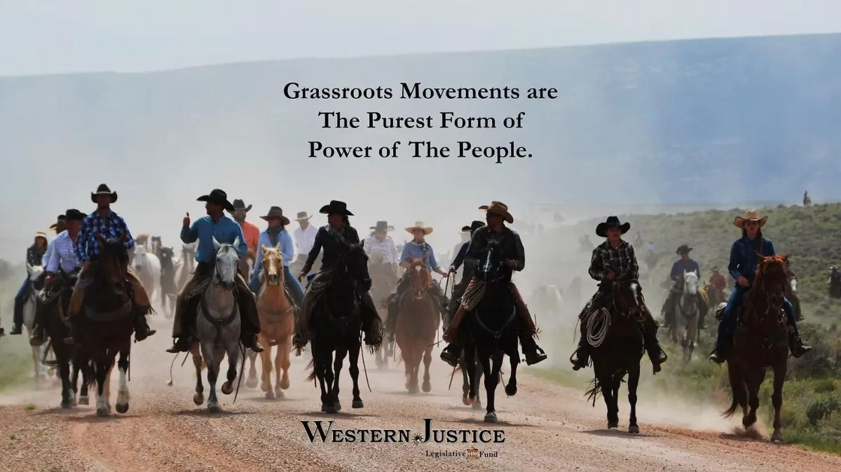 Grassroots Movements  - Power of the People