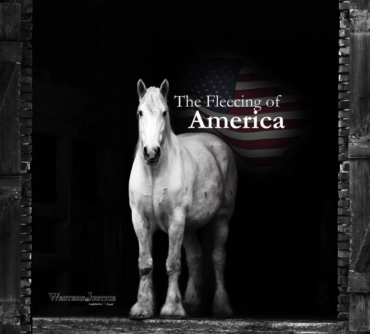 The Fleecing of America