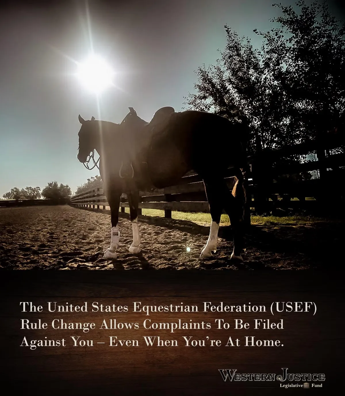 USEF Rule Change Leaves The Door Wide Open
