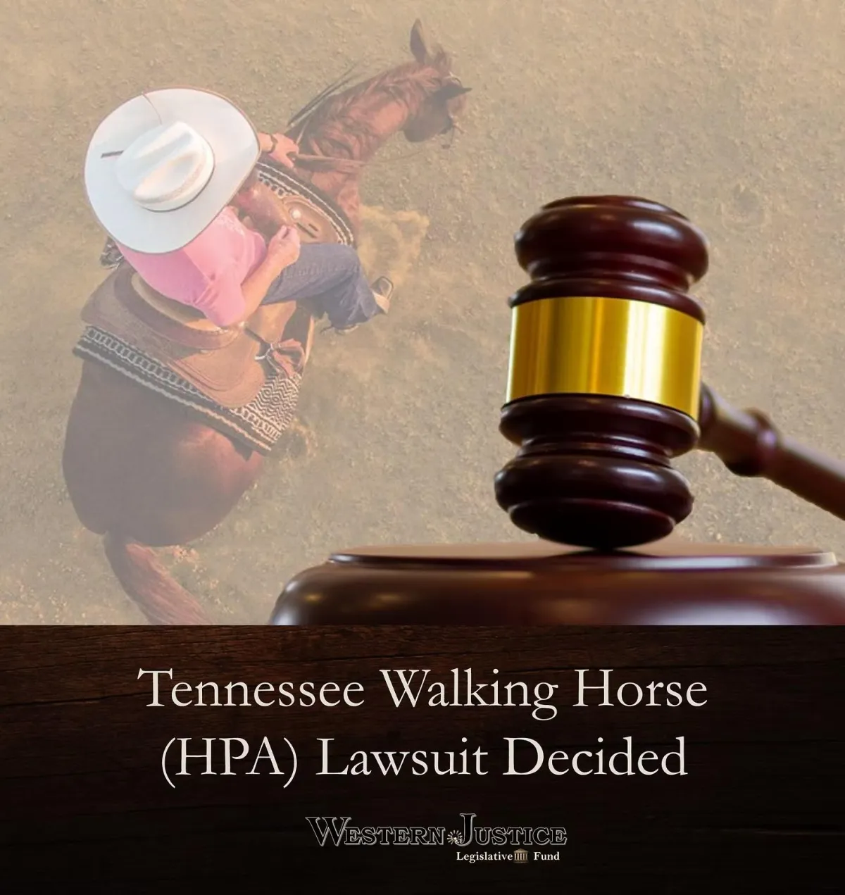Federal Overreach and the Future of Horse Shows: Why the Horse Protection Act Must Be Reformed