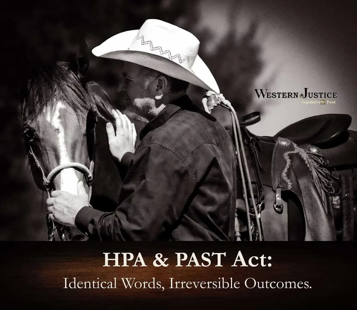How the 2025 PAST Act Bill Mirrors the Horse Protection Act New Rule 