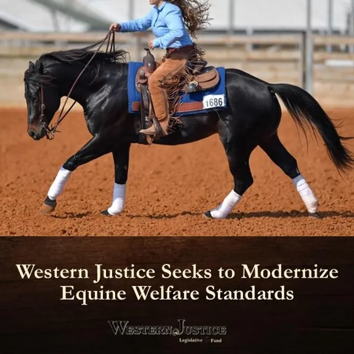 Western Justice Seeks to Modernize Equine Welfare Standards