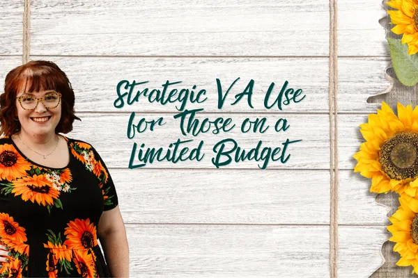 Strategic VA Use for Businesses on a Limited Budget
