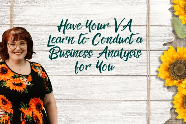 Have Your VA Learn to Conduct a Business Analysis for You