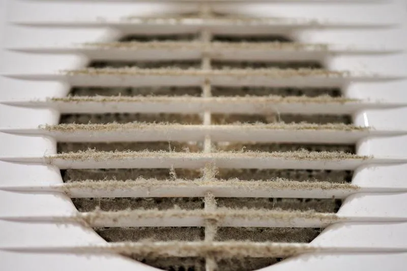 What's Hiding in Your Air Ducts? The Need for Regular Cleaning