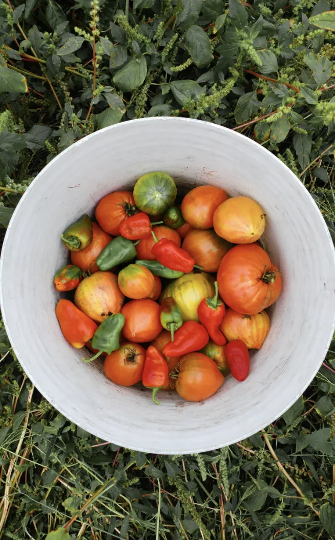 What is Rural and Remote Naturopathy all about?