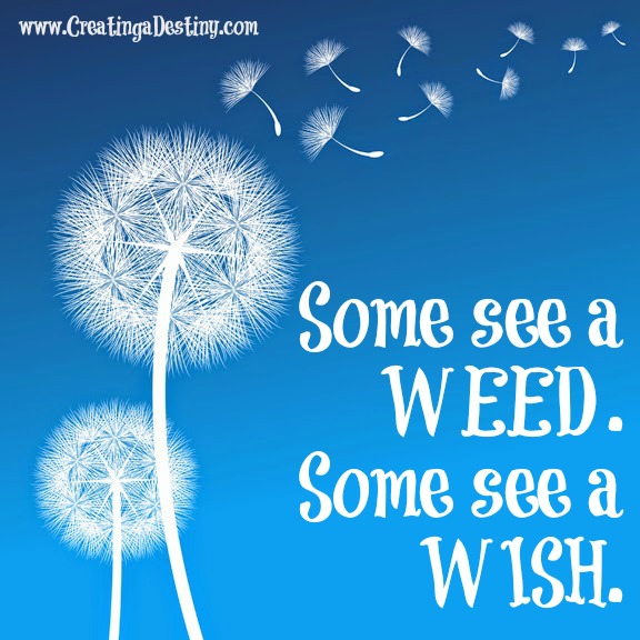 Some See a Weed. Some See a Wish. What do You See?