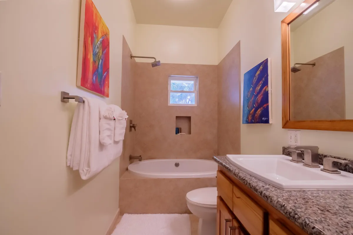 Soaker Tub Shower Combo