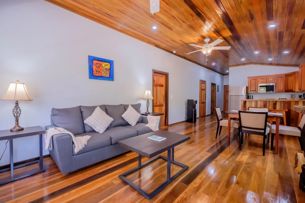 living room wth couch and TV