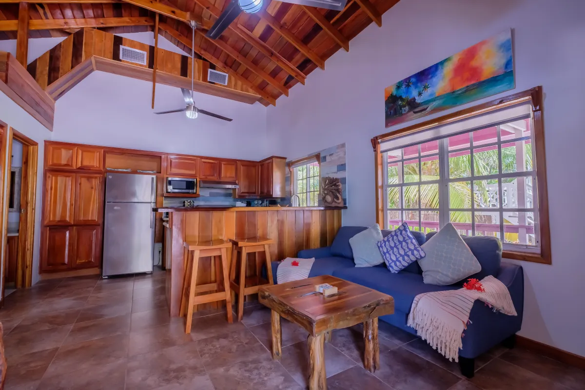 open living room with couch and TV
