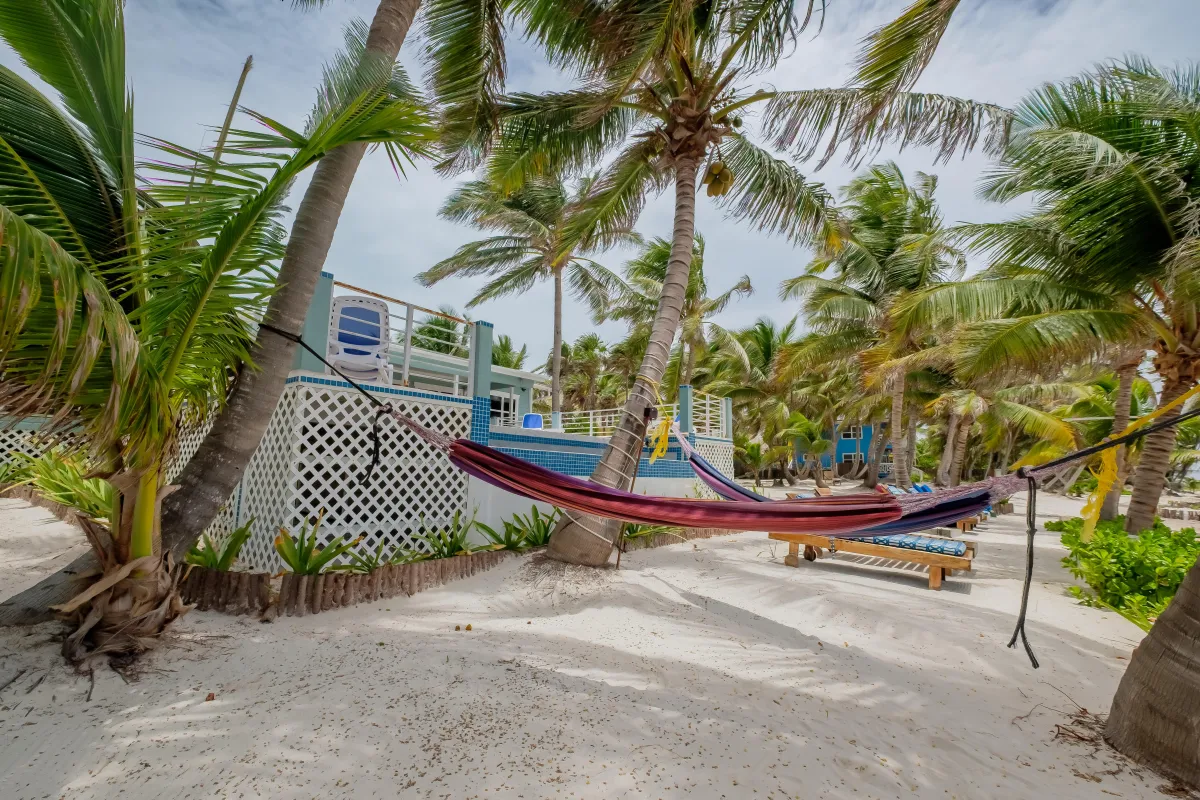 Hammocks on the beach for guests
