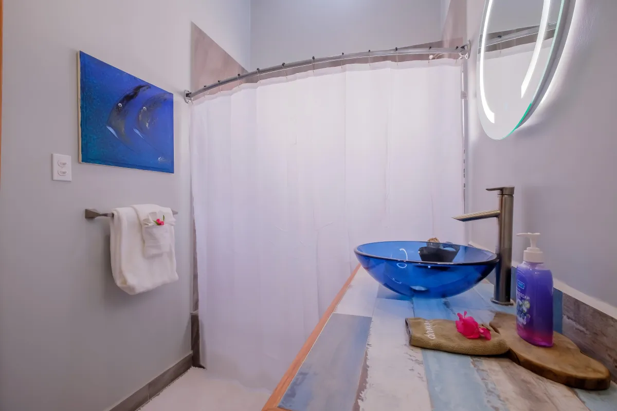 Private full bath with tun and shower combo