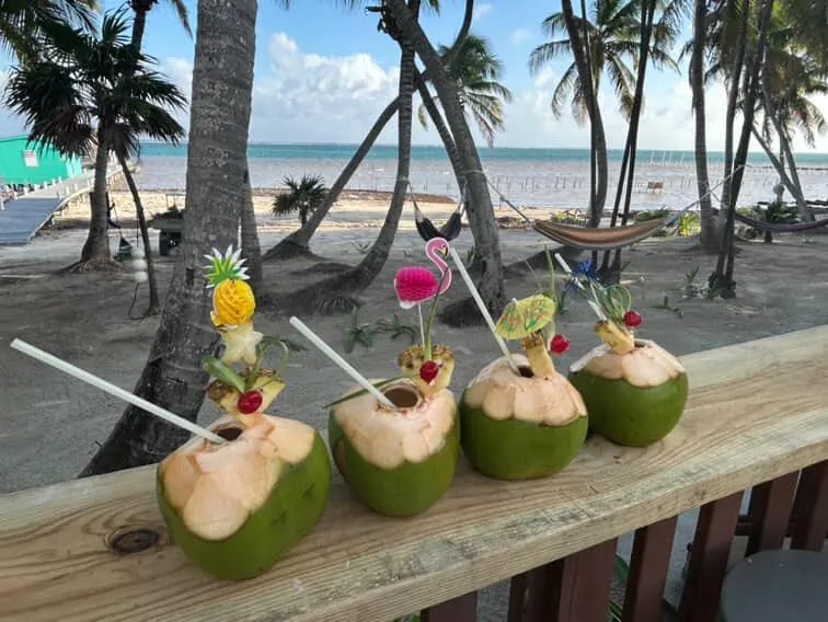 Crazy coconut at The Crow's Nest