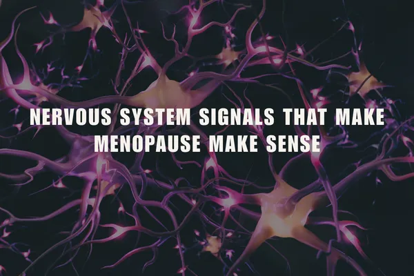 Nervous System Signals that Make Menopause Make Sense