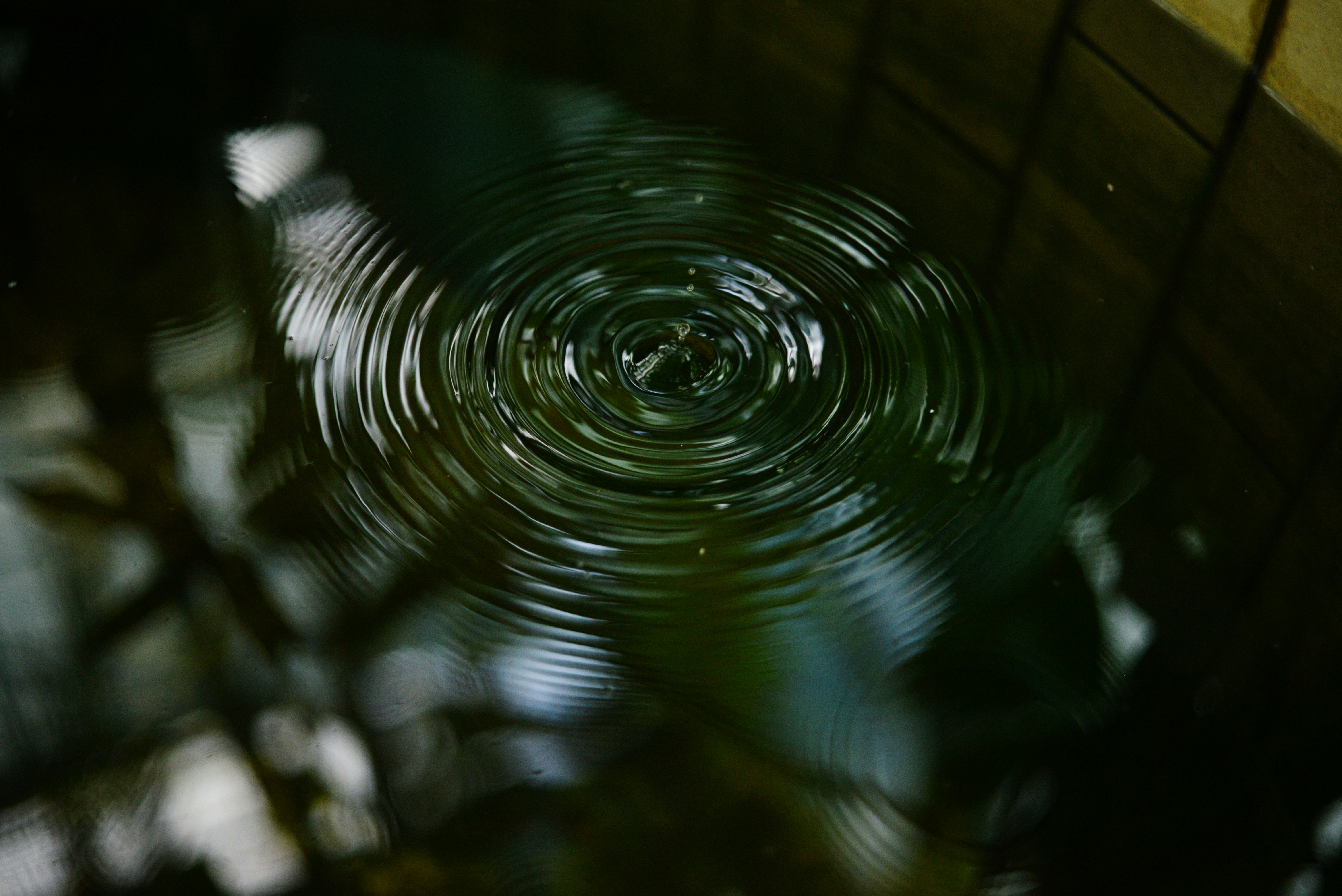 Small Things, Big Ripples: The Science and History of Hope in Action