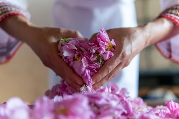 The Ultimate Guide to Healing and Transformation