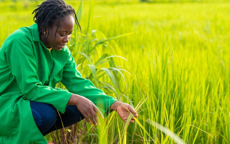Understanding the Black Ecosystem: 5 Core Components That Fuel Community Wealth