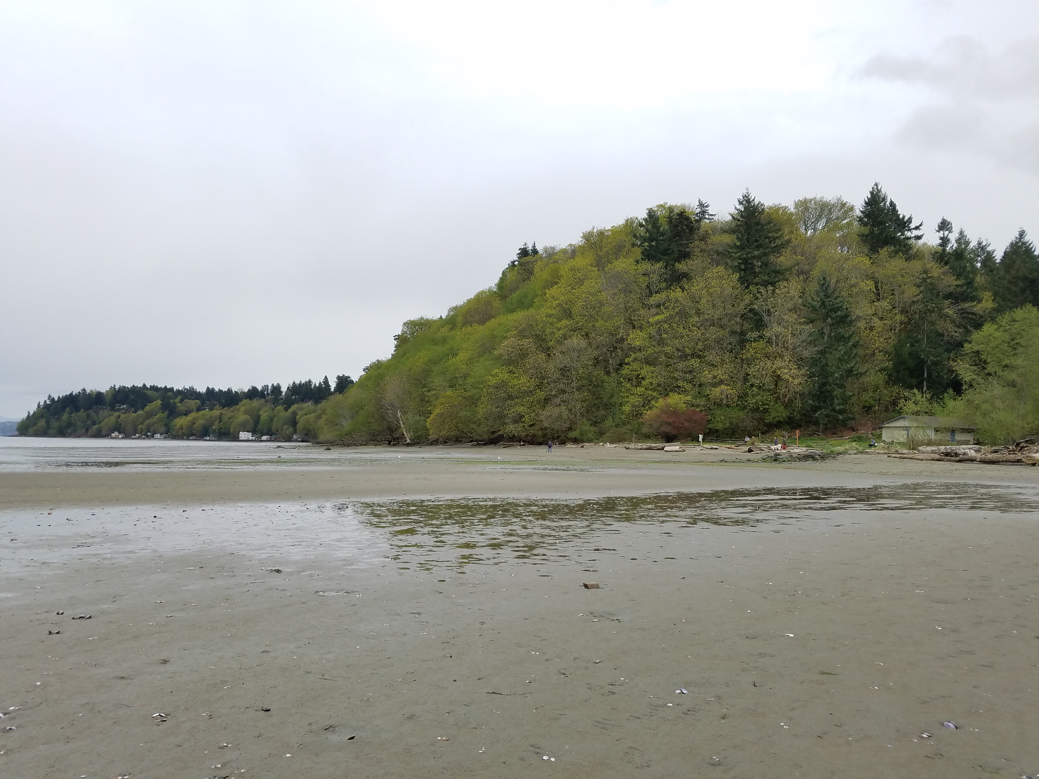 A Local’s Guide to Exploring Dash Point State Park by Rental Car | Rain City Car Rentals – Federal Way