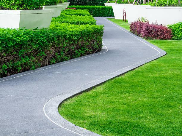 concrete sidewalk with green grass