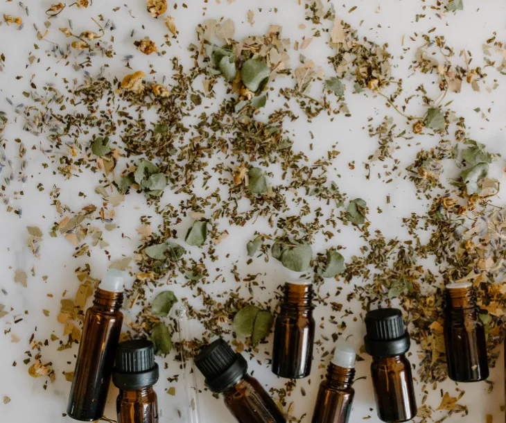 Remedios para Azúcar Alta: La Revolución Natural Más Allá de las Pastillas