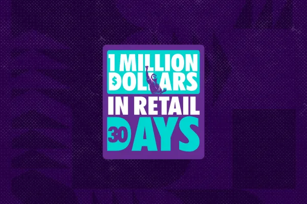 https://www.1millionin30days.com/