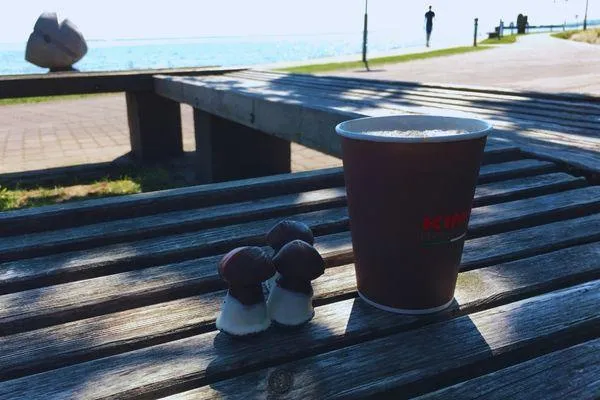 Kaffeebecher mit litauischen Steinpilz-Keksen. Verbindung von Genuss und Gesundheit