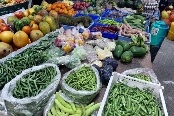 Auf dem Gemüsemarkt - Ballaststoffe pur. Echtes Essen frisch auf den Tisch