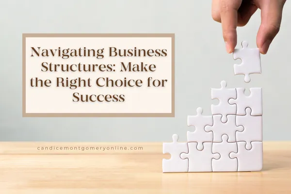 Navigating Business Structures: Make the Right Choice for Success