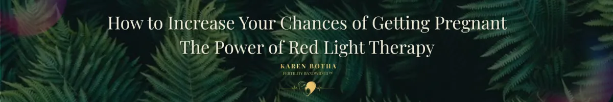 Fertility Research: How Red Light Therapy Increases Chances of Pregnancy | Fertility Bandwidth