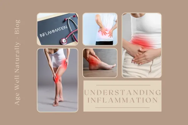 Understanding Inflammation in the Body