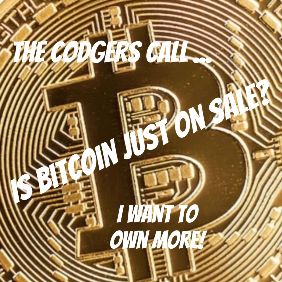 Is Bitcoin Just on Sale?